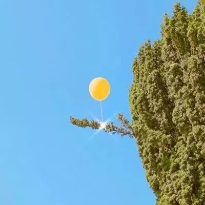 台湾福星彩手机app下载