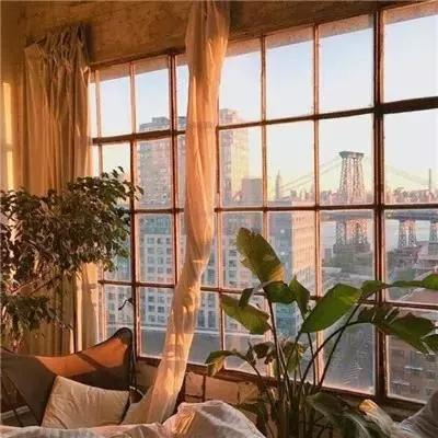 乐鱼综合APP下载